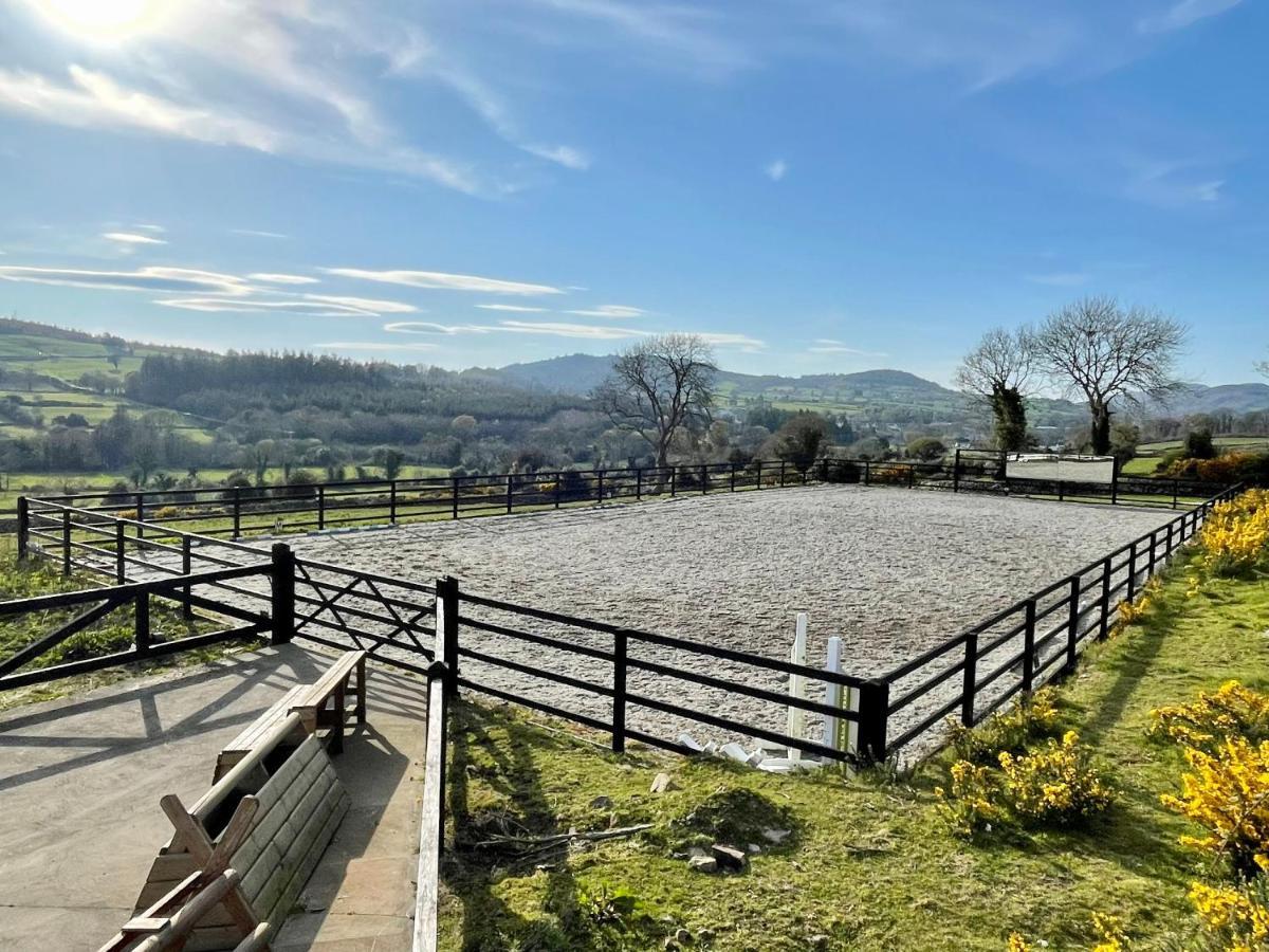 Maggie's Croft 4 Star Tourism Ni * Castlewellan