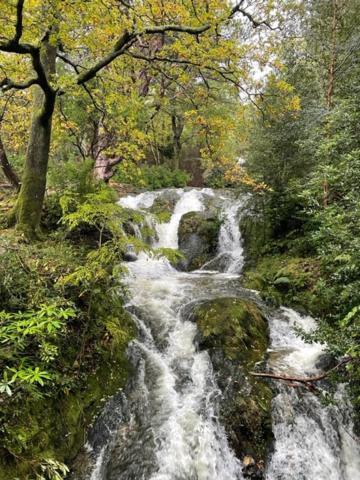 Maggie's Croft 4 Star Tourism Ni